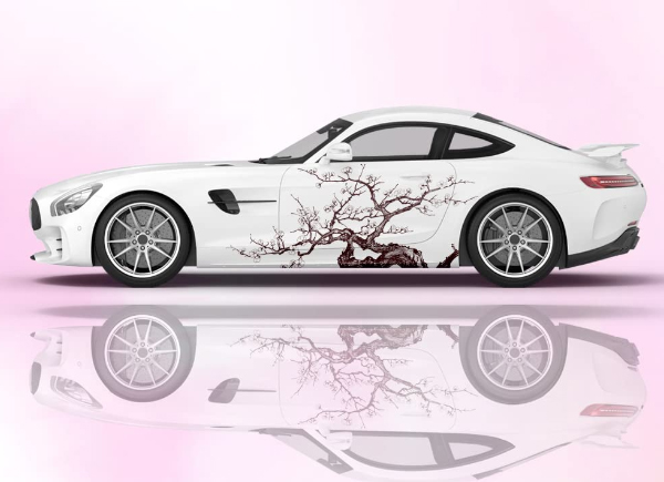 Automotive Graphics & Decals